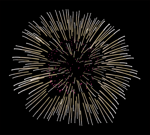 Fireworks vektorbild