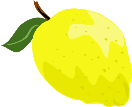 Lemon atau jeruk nipis vektor grafis dengan daun