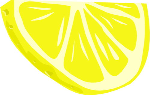 Gesneden citroen vector illustraties