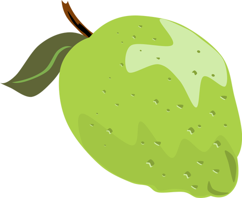 Lime vektor illustration med blad