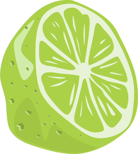 Media un limón fruta dibujo vectorial