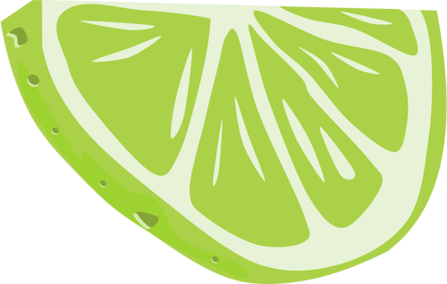 Lime vector illustration