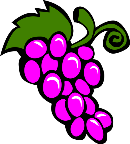 בתמונה וקטורית של ענבים