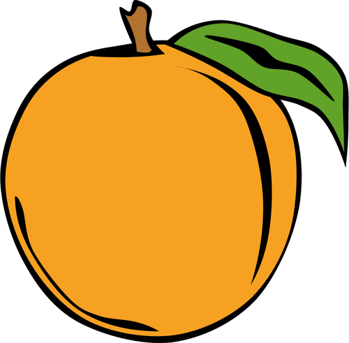 Persika frukt vektor ClipArt