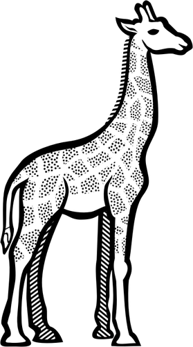 Illustrasjon av flekkete giraffe