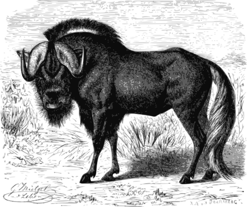 Immagine di GNU illustrazione