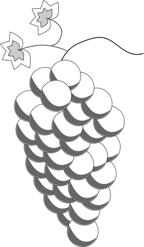 Desenho de uvas