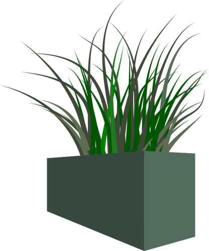Hierba en plantadora cuadrada