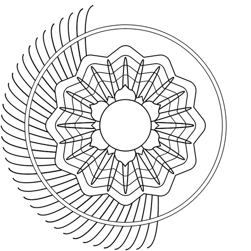 Half of a blooming flower vector image