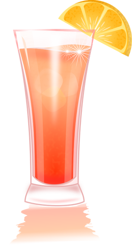 Margarita with orange slice vector graphics