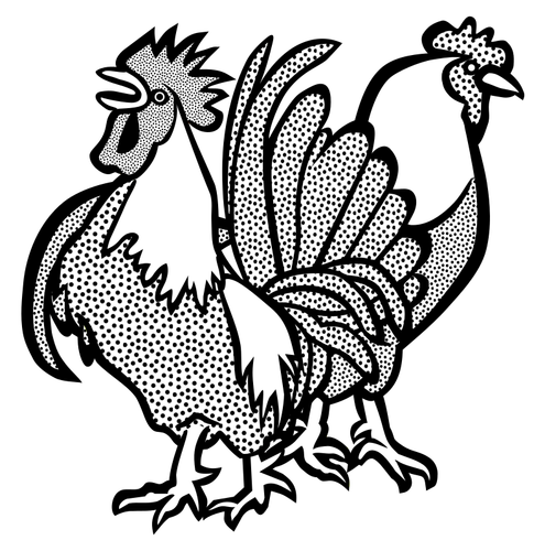 Imagem vetorial de duas galinhas