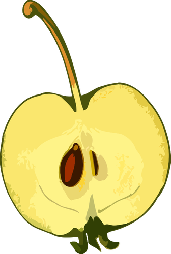 البذور والتفاح