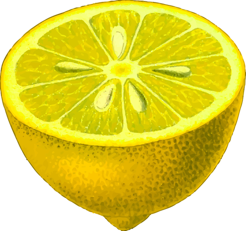 Fatia de limão
