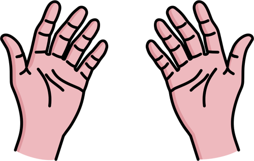 Vector image of open your palms