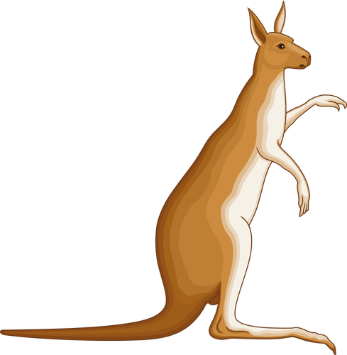 Beeld van de kangoeroe