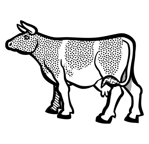 Kráva obrázek z omalovánky