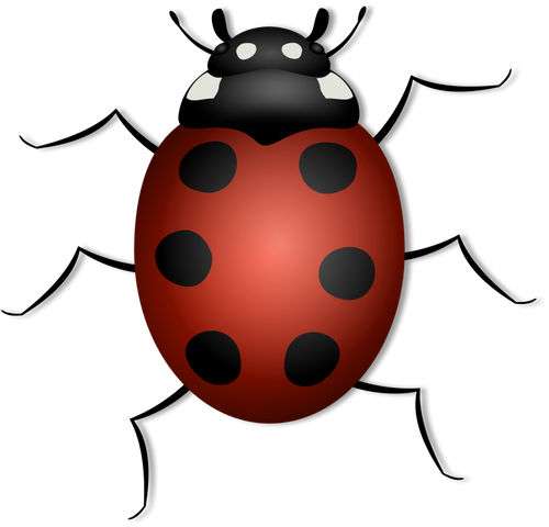 Ladybug vector illustration