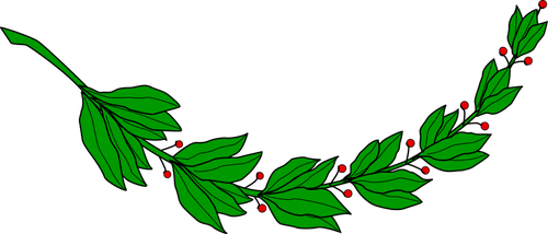 Laurel gren med röda bär