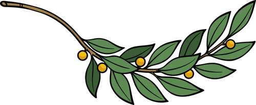 Laurel cabang vektor gambar