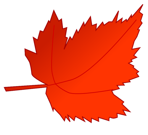 Grafika wektorowa liści klon czerwony i pomarańczowy