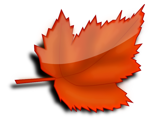 Glossy autumn leaf vector image