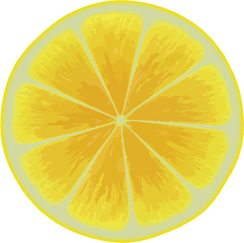 Žlutá citrusové řezy
