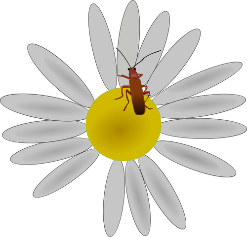 Bug em um vetor de flor