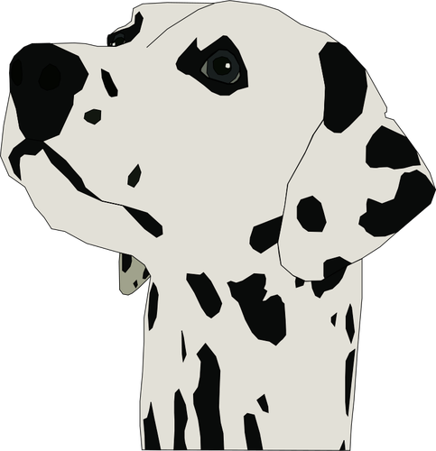 Dalmatin pes portrétní vektorový obrázek