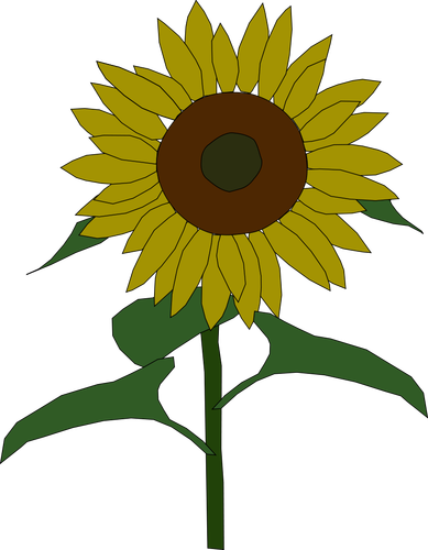 Sunflower vektor grafis
