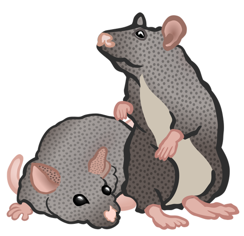 Ratos