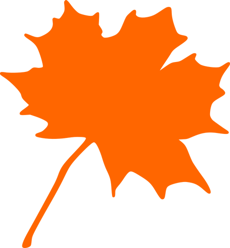 Maple leaf vector afbeelding