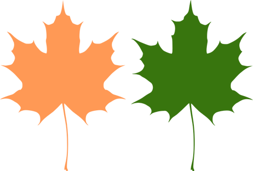 オレンジ色と緑色のカエデの葉ベクター描画