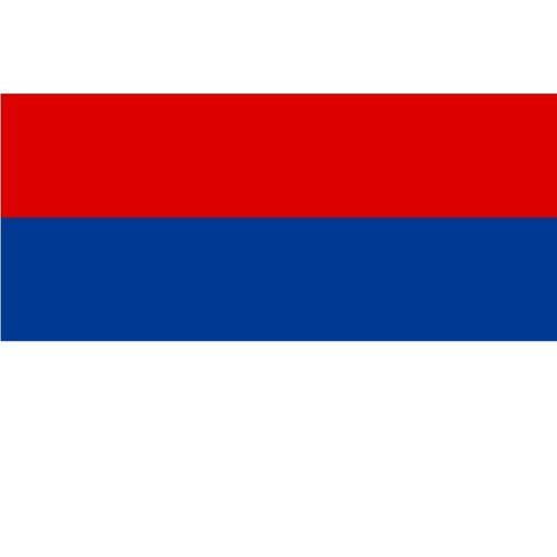 Flaga prowincji Misiones