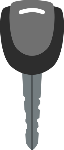 Black and grey vector image of car door key