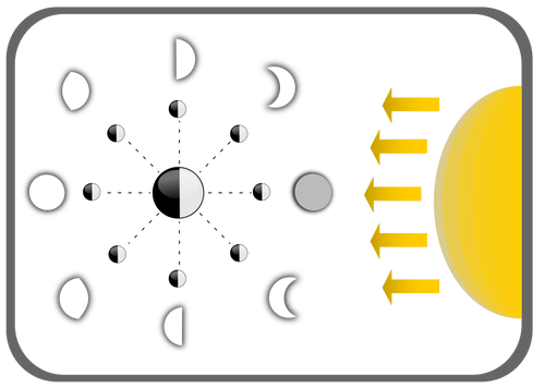 Diagram of Moon phases
