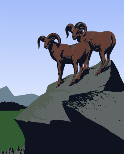 Imagen de cabras de la montaña
