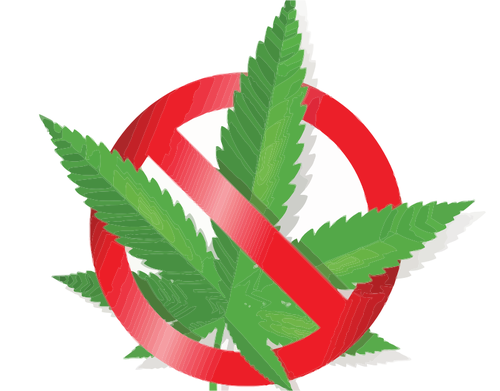 Kein cannabis