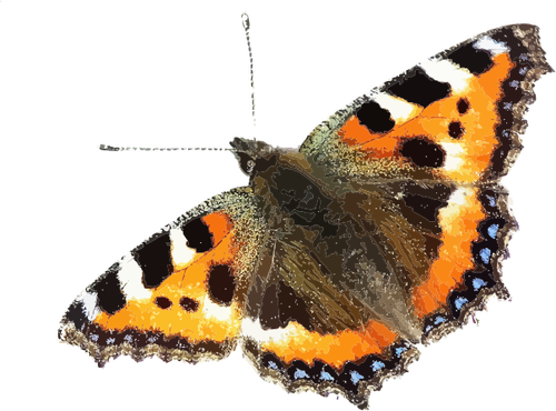 Bunte Schmetterling-Symbol