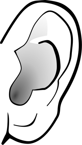 Grijswaardenafbeelding van oor