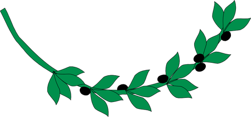Branche d’Olivier avec image vectorielle olives noires