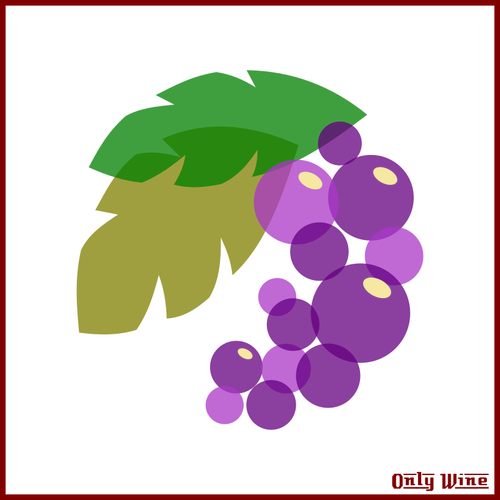 Imagen de uvas moradas