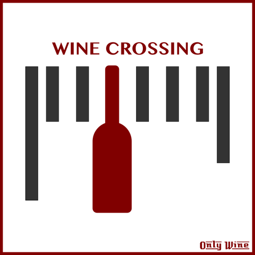 ワインのラベル 3