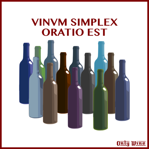 Färgglada vinflaskor