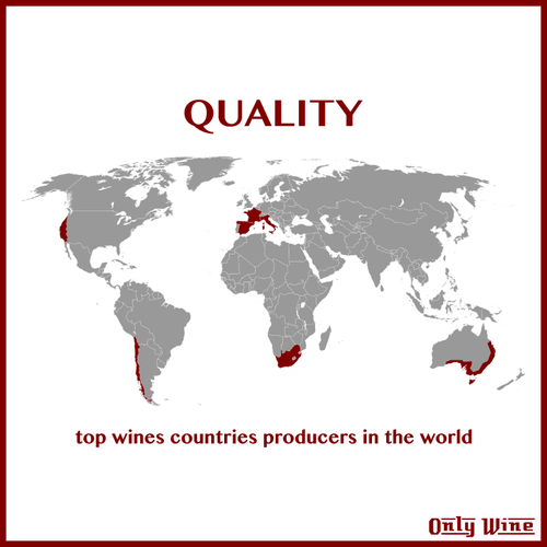 Top wina producentów