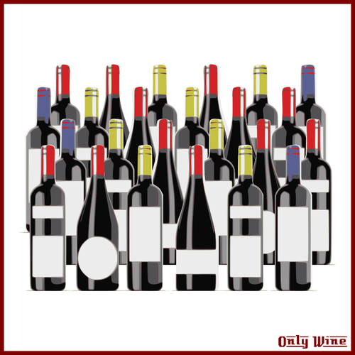 Imagem de diferentes garrafas de vinho