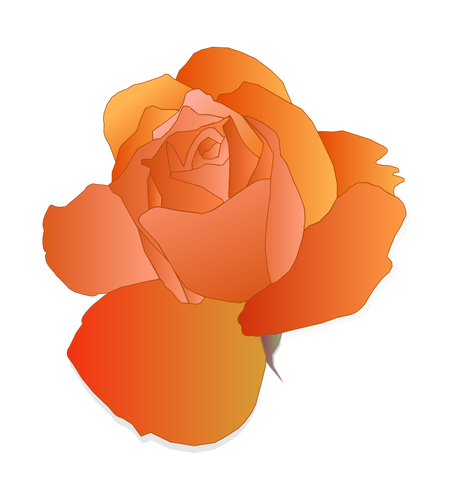 Trandafir portocaliu