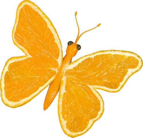Zitrus-Schmetterling