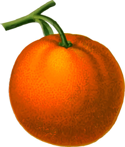 Reife orange