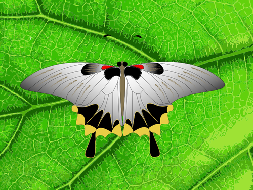 葉の上の灰色の蝶のベクター クリップ アート