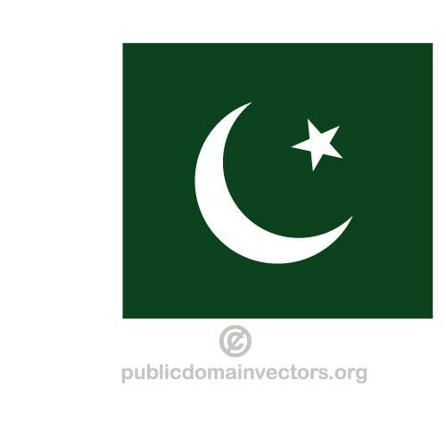 Bandera paquistaní vector
